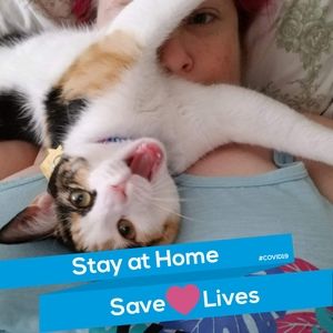 Meet your Posher, Margot